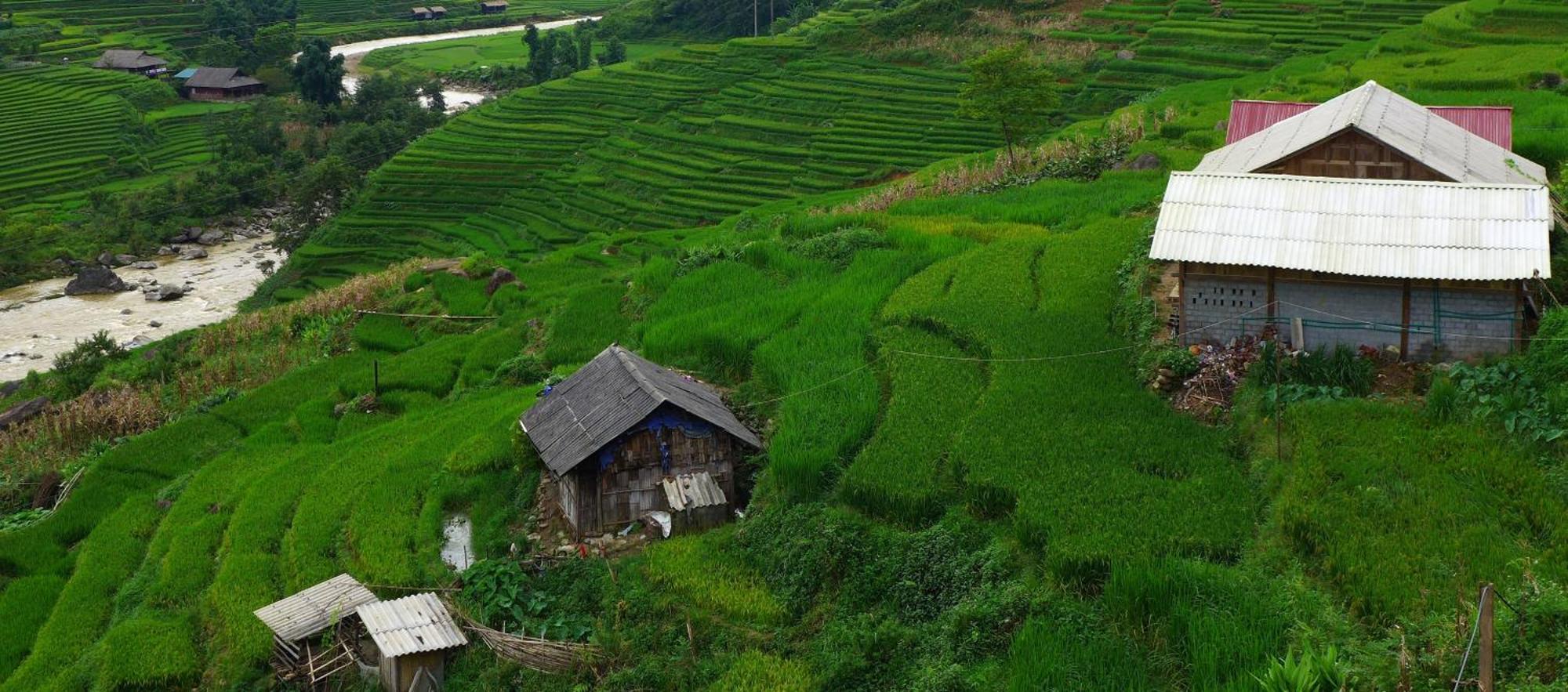 Freedom Homestay & Trekking Сапа Екстериор снимка
