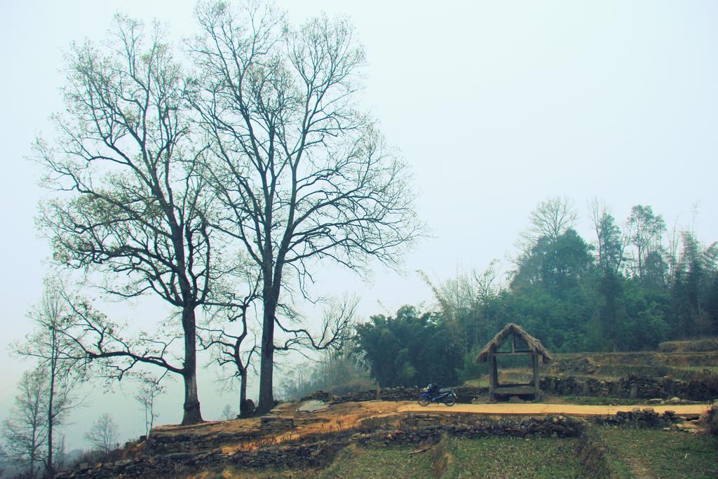 Freedom Homestay & Trekking Сапа Екстериор снимка