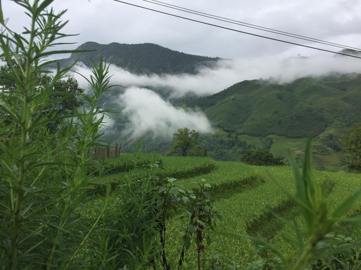 Freedom Homestay & Trekking Сапа Екстериор снимка